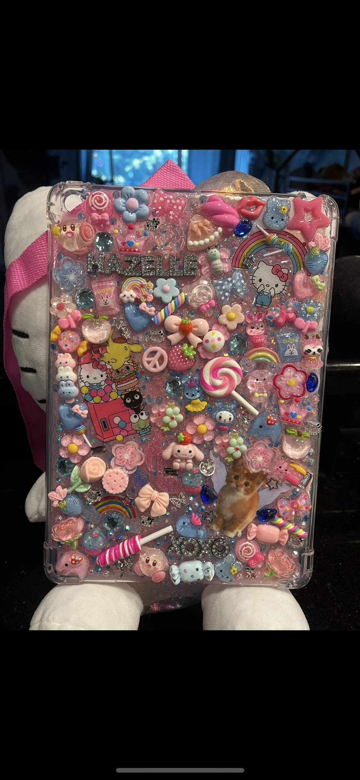 Ipad Custom Junk Case
